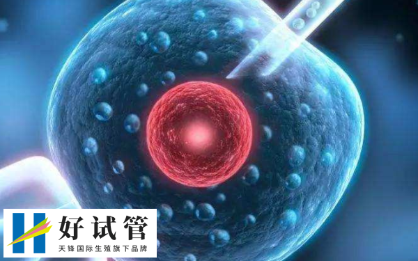 供卵自怀的行为并不完全违法