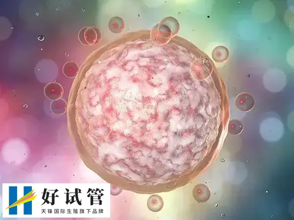 供卵试管婴儿准备十万元是足够的