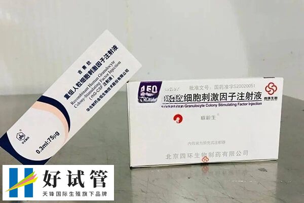 子宫内膜炎可以关注粒细胞刺激因子