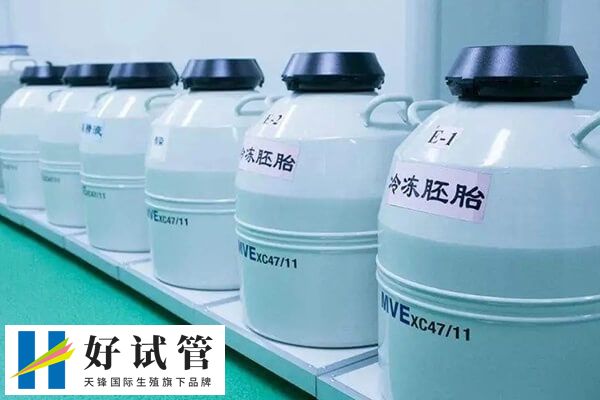 鲜囊胚和冻囊胚都属于囊胚