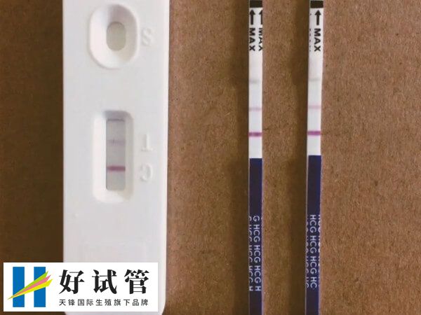 鲜胚移植后12天hcg低怀孕几率低