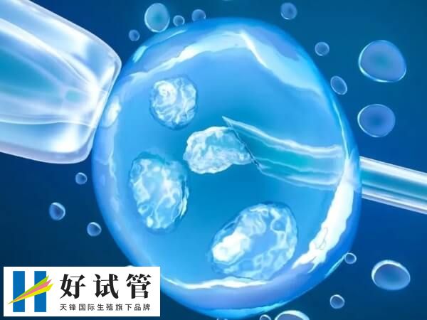 冻胚移植后就可以进行内膜处理了