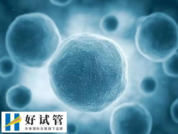 取卵的数量并不是越多越好