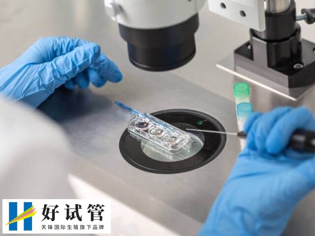 胚胎移植手术的疼痛感较低