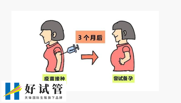 北京市试管婴儿哪个医院比较靠谱?揭秘十家高口碑助孕医院(图1)