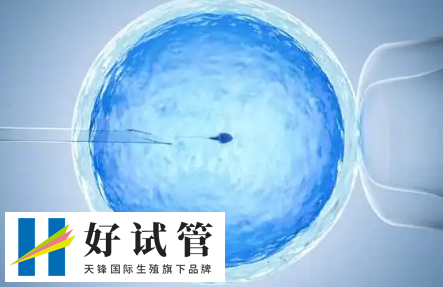 促排卵泡长得慢可能需要调整药物剂量