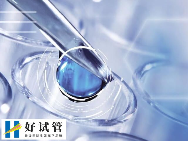 临床上5cc囊胚等级质量就一般