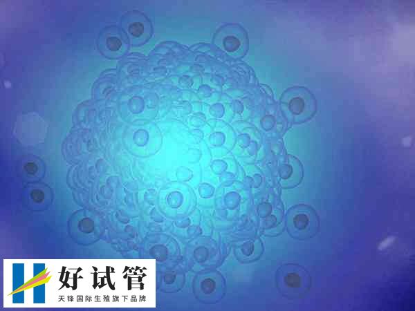 不同年龄段做试管的成功率也存在一定差异