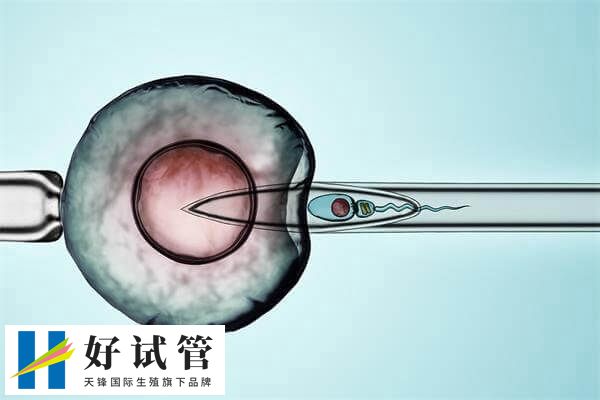 短效长方案的优缺点