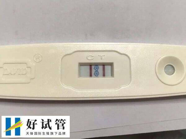 验孕棒测出双杠可能是怀孕了